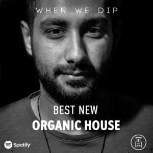 When We Dip Best New Tracks Organic House August 2022 download
